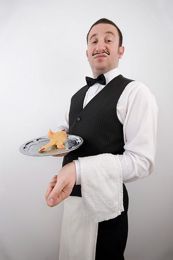 Snobby French Waiter